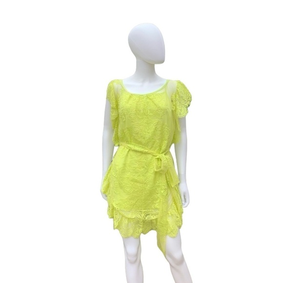 💋NWOT JENS Pirate Booty Key Lime 2 Pc Sheer Lace CoverUp/Dress - Picture 3 of 16